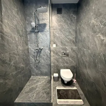 Apartmán віп вул під голоском 15 б 9-1 *